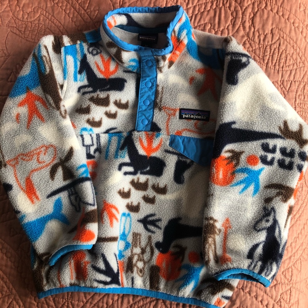 Patagonia Synchilla Pullover